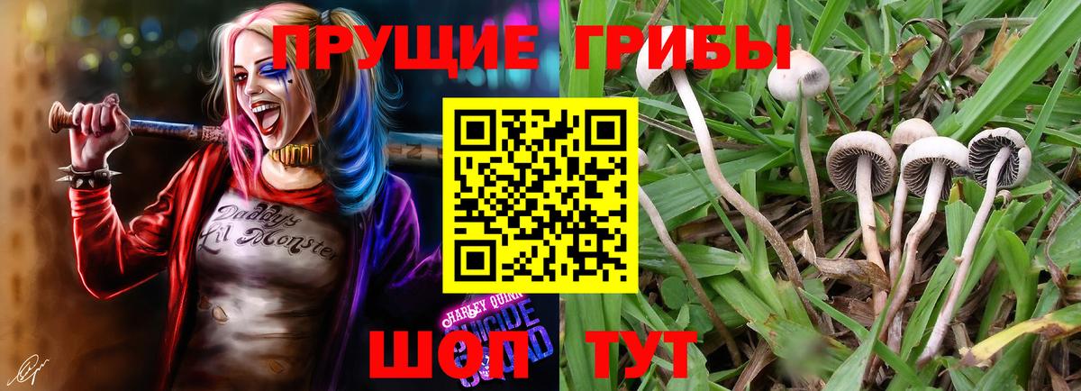 Галлюциногенные грибы Magic Shrooms  Галлюциногенные грибы мухоморы  Нижний Тагил  Вход с VPN 